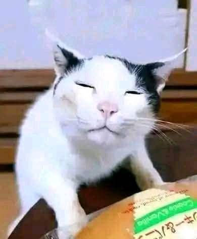 Baswan21's tweet image. 9zFZewyr8SzgKqo8Jtq6T7VyCdfBY9AnF1SjV8kJP7K

#SOL