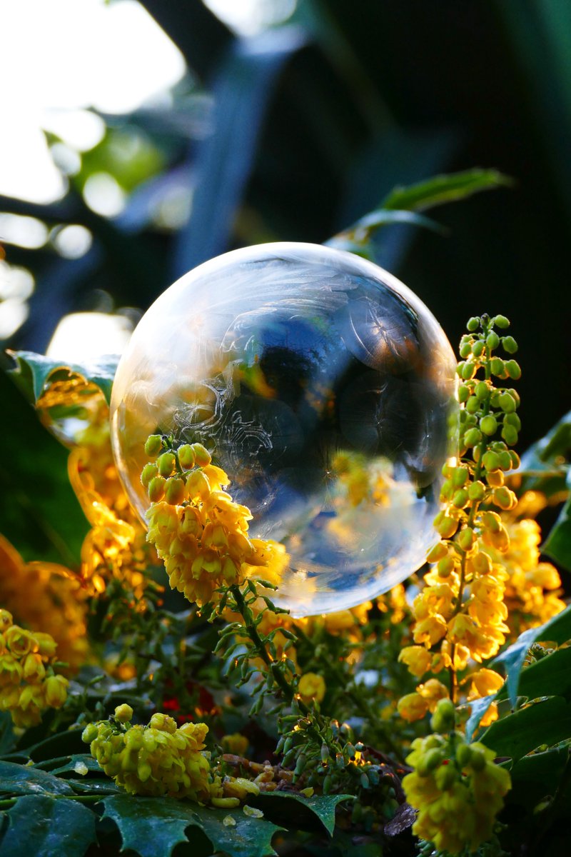 James Akrill - Frozen Bubble Photographer tweet media