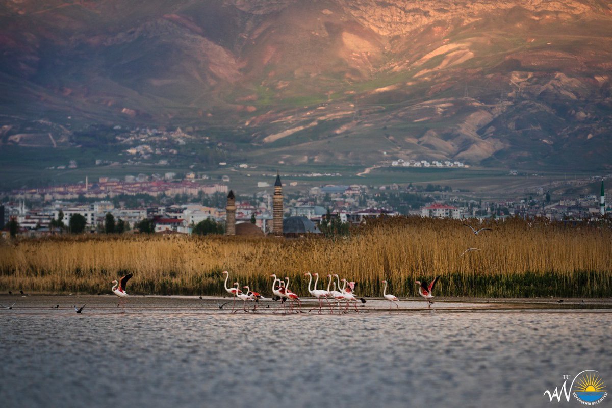 Güzellikleri ile Van💫

<a href="/valiozanbalci75/">Ozan Balcı</a>