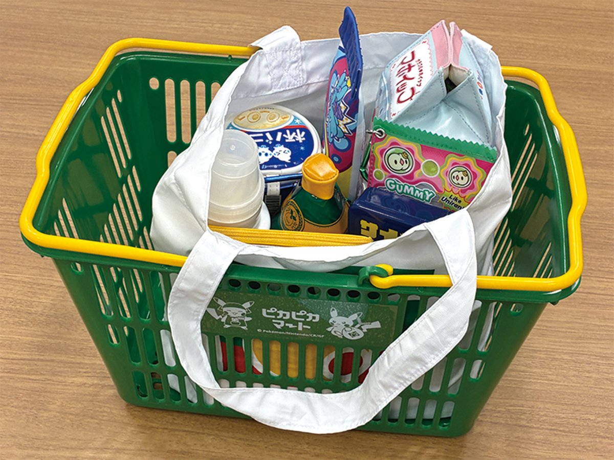 ポケモンだいすきクラブ マンスリープレゼント当選品　2008 ポケモンだいすきクラブ限定 マンスリープレゼント 懸賞 ファミリー