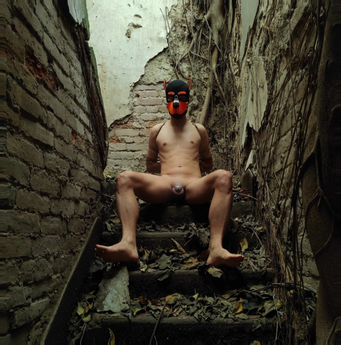 麦麦鸡腿堡 tweet media