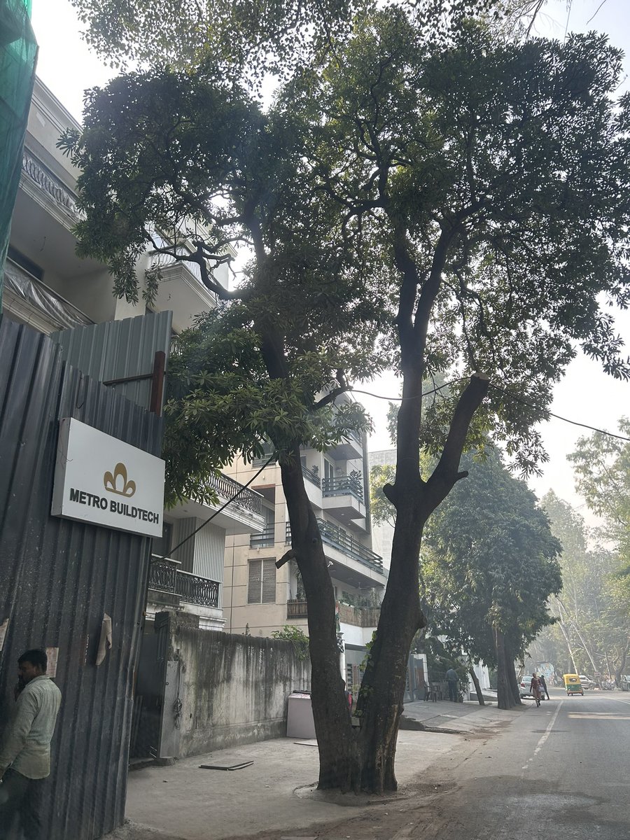NDNS_HQ's tweet image. Trees - They naturally remove air pollution for free.
5 trees are felled every hour in Delhi.
Why aren’t the leaders saving Delhi trees?
These trees were cut recently in south Delhi, thereby increasing air pollution.