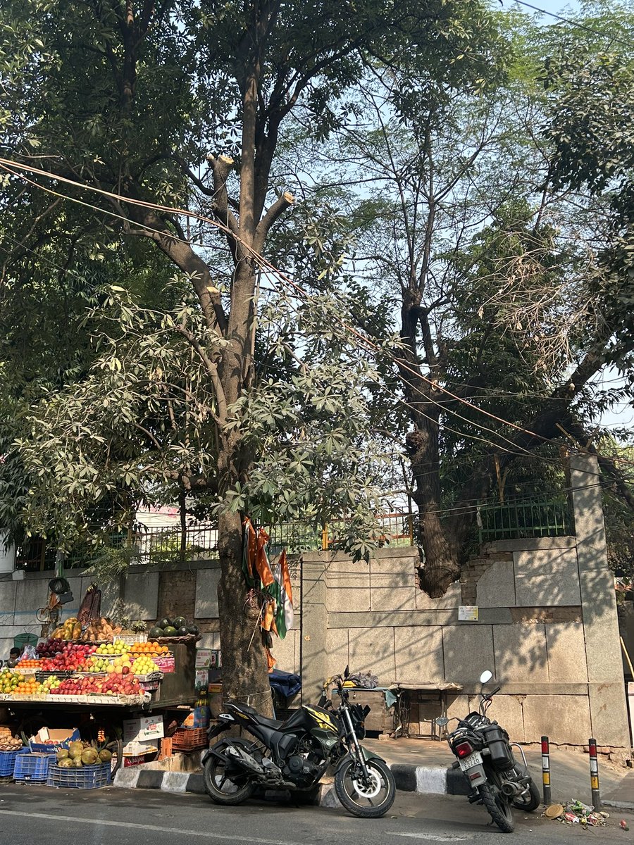 NDNS_HQ's tweet image. Trees - They naturally remove air pollution for free.
5 trees are felled every hour in Delhi.
Why aren’t the leaders saving Delhi trees?
These trees were cut recently in south Delhi, thereby increasing air pollution.