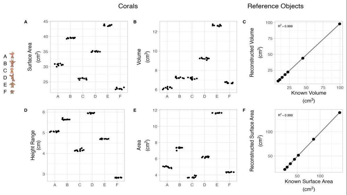 RemoteSens_MDPI's tweet image. 👇👇 Validating the #Precision and Accuracy of #Coral Fragment #Photogrammetry

✍️ Spencer Miller et al.
🔗 brnw.ch/21wXSlS