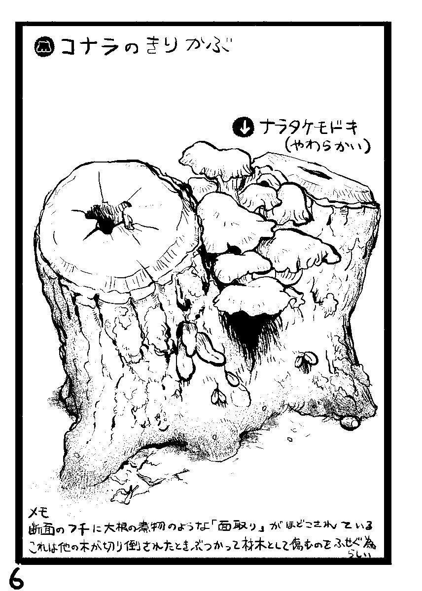 コミティア154で出したコピー本です
①