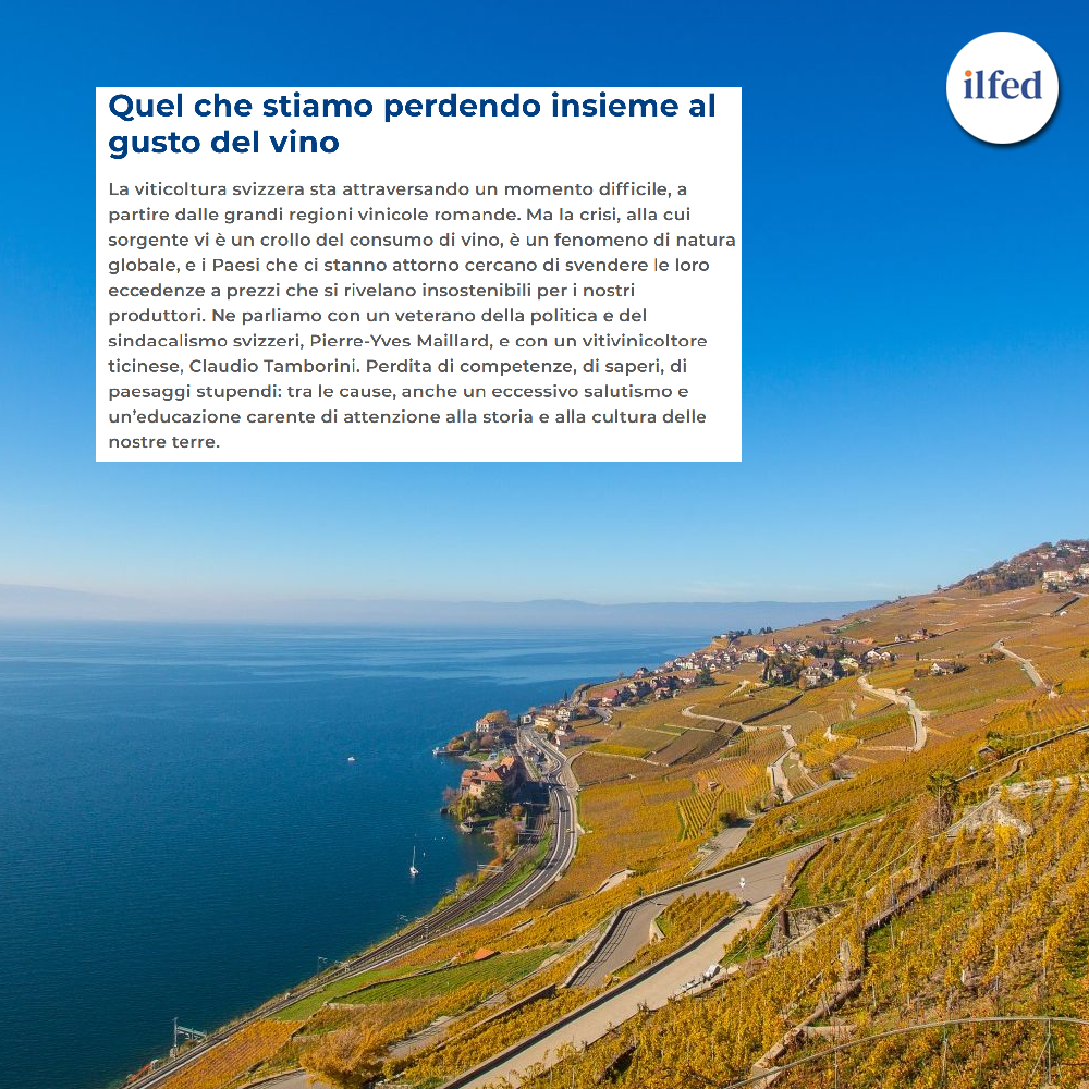 ilfed_ch's tweet image. La viticoltura svizzera sta attraversando un momento difficile, a partire dalle grandi regioni vinicole romande. Ma la crisi, alla cui sorgente vi è un crollo del consumo di vino, è un fenomeno di natura globale, e i Paesi che ci stanno attorno cercano di svendere le loro…