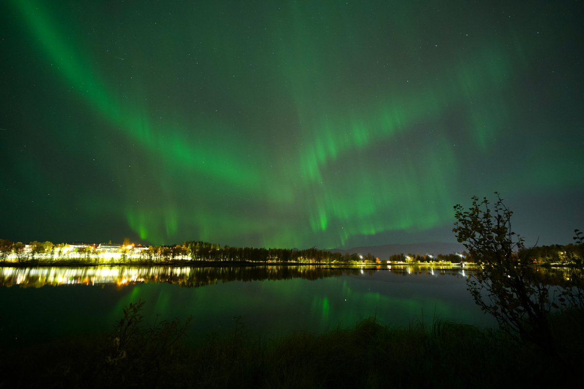 Andalucía Por El Mundo tweet media