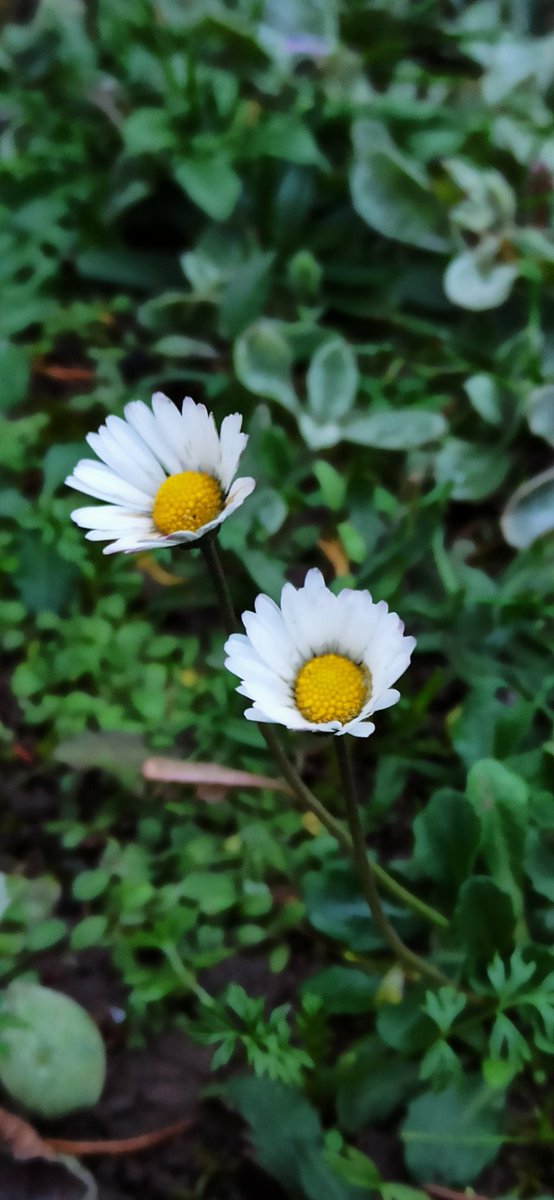 Ich wünsche Euch einen schönen Nachmittag 🙋‍♂️☕