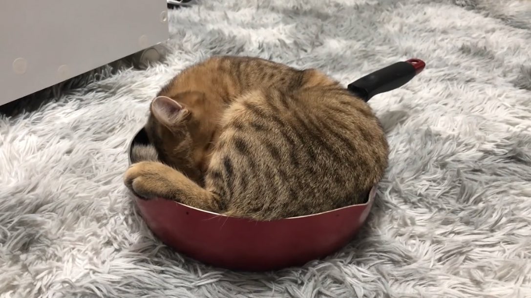 リュウジ、信じたからにゃ