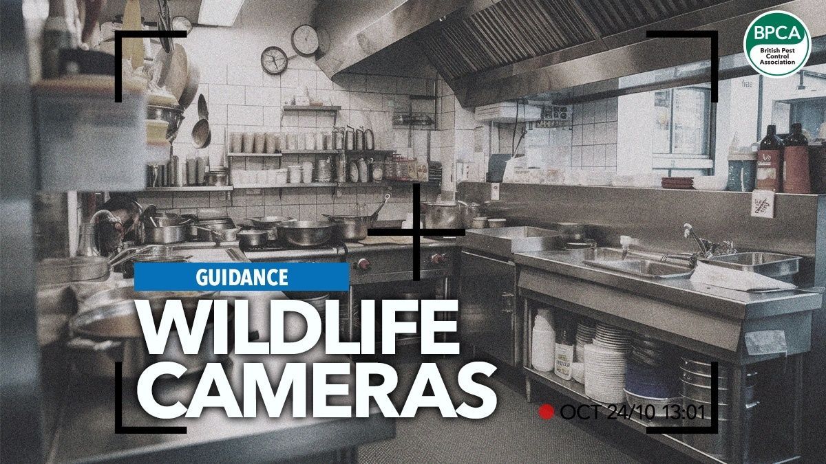 🎥 Wildlife cameras are now in common use in the pest management industry: read our guidance to help pest management professionals use cameras legally, ethically and professionally. 

Read: buff.ly/rvtEpOd 

#PestControl #Guidance #Advice #CPD