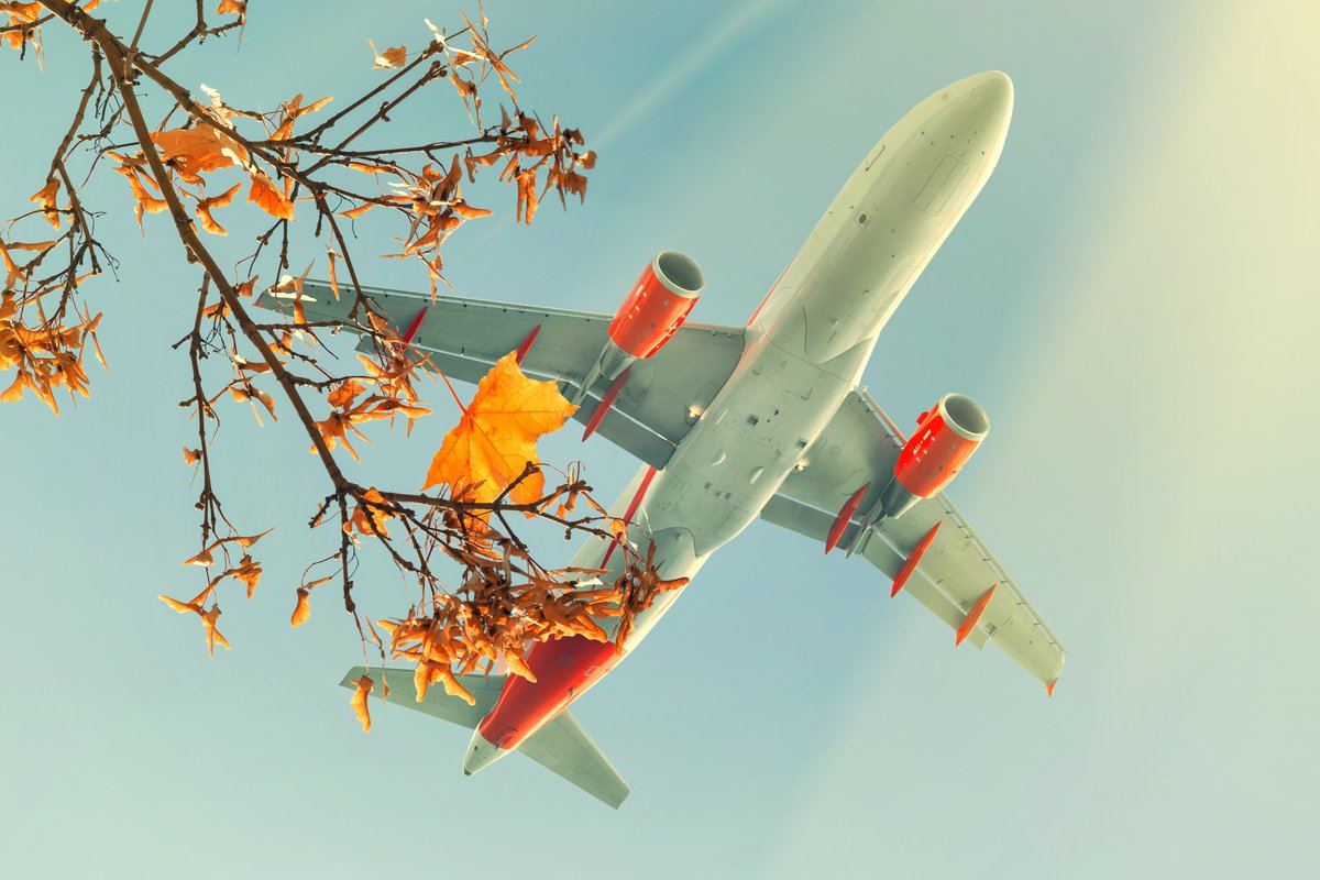 flightaware's tweet image. Wishing everyone smooth travels, on-time arrivals, and plenty of pumpkin pie. Safe travels, and Happy Thanksgiving! 🦃✈️

#flightaware #bigdata #avgeeks #thanksgiving