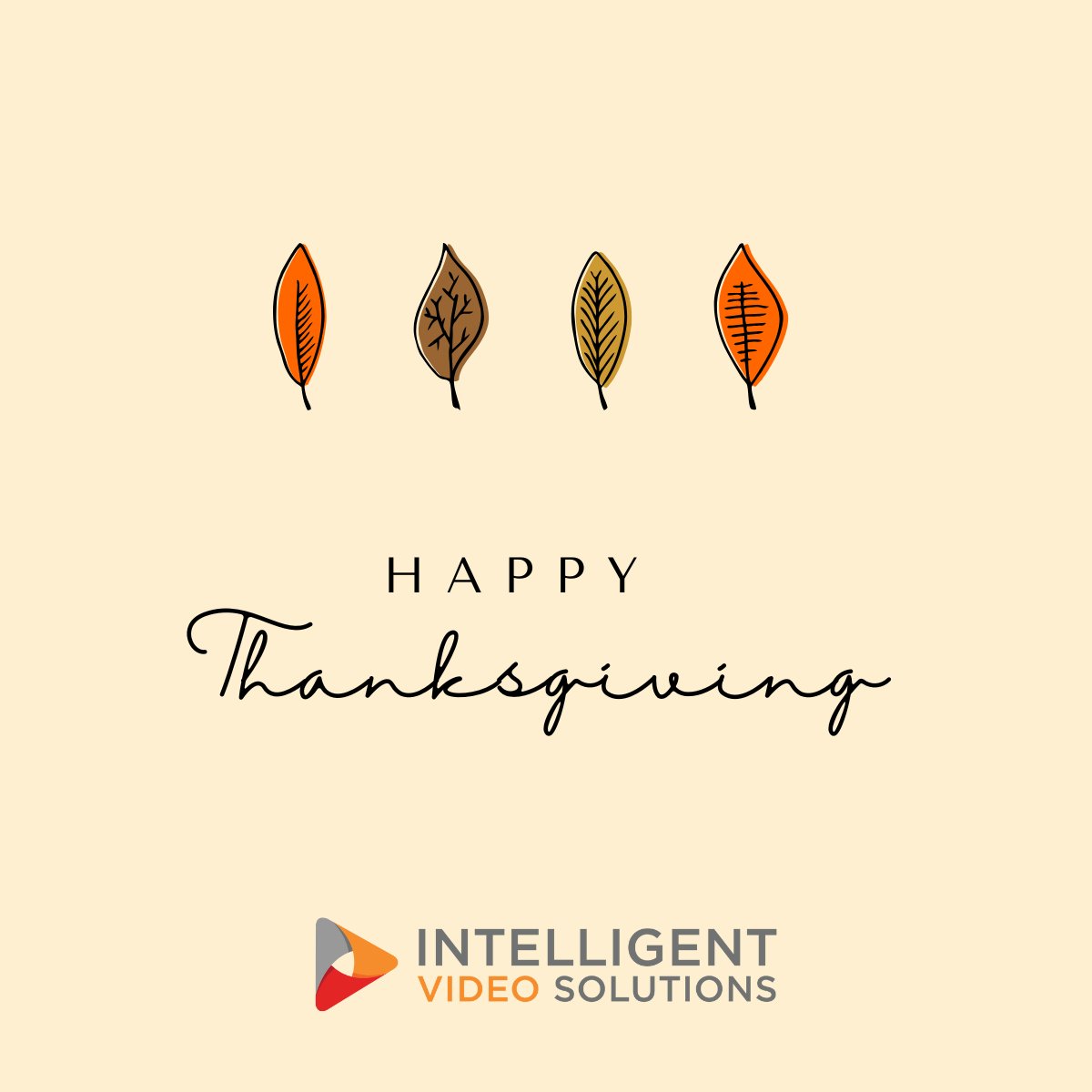 Intelligent Video Solutions tweet media