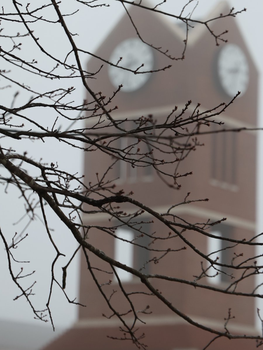 Lincoln Memorial University tweet media