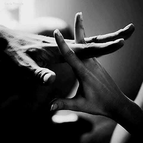 Ensemble, tout semble plus simple, plus léger.
Le monde peut trembler, changer, se perdre,
Mais tant que ta main cherche la mienne,
Je sais que nous trouverons toujours notre chemin...