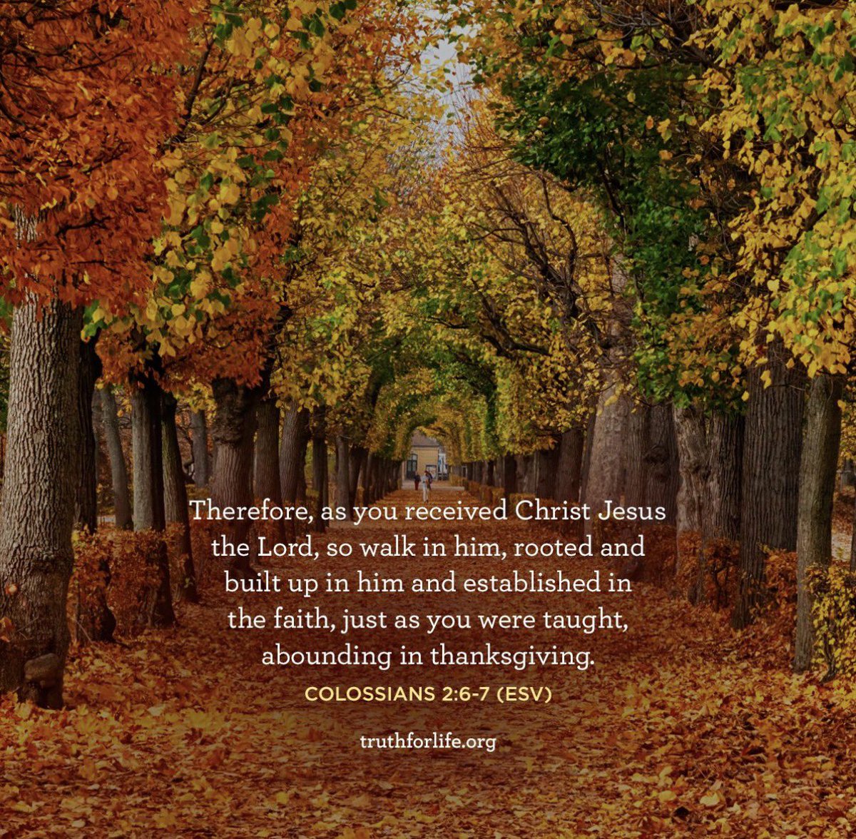 Today, we pause to give thanks to Almighty God, the giver of every good and perfect gift. May your home be filled with peace, love, and the warmth of family and friends.

This Thanksgiving, let us remember our many blessings — our faith, our families, our freedoms, and our great