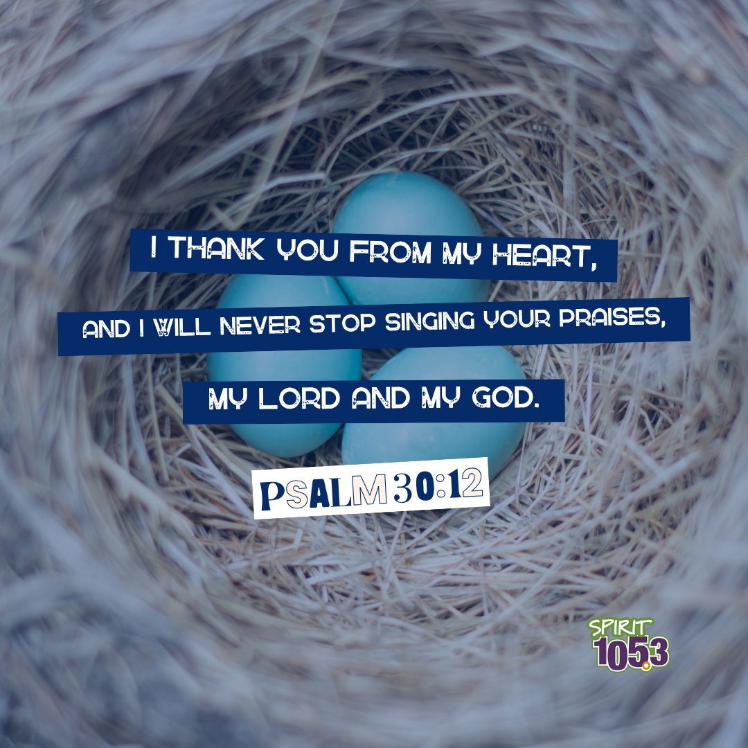 Psalm 30:12 - I thank you from my heart, and I will never stop singing your praises, my Lord and my God.
.
.
#verse #dailyverse #hope #bibleverse #bible
