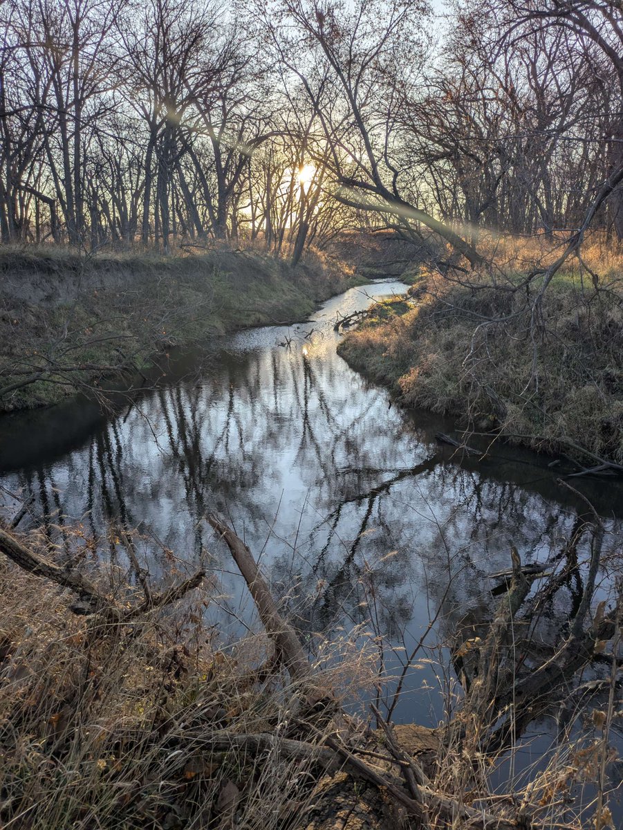 HomesteadNHP's tweet image. As park rangers and staff, we're grateful to work at Homestead National Historical Park, where beauty surrounds us. 

We wish you good cheer this Thanksgiving! 

📸: NPS/Jesse Bolli

#BlessedLife #Thanksgiving2025 #HomesteadNHP #NationalParks #NaturePhotography