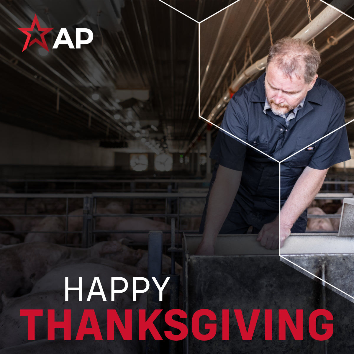 We are thankful today and everyday for those that work tirelessly to ensure our plates are full. Wishing you and your families a safe and happy Thanksgiving from all of us at AP!