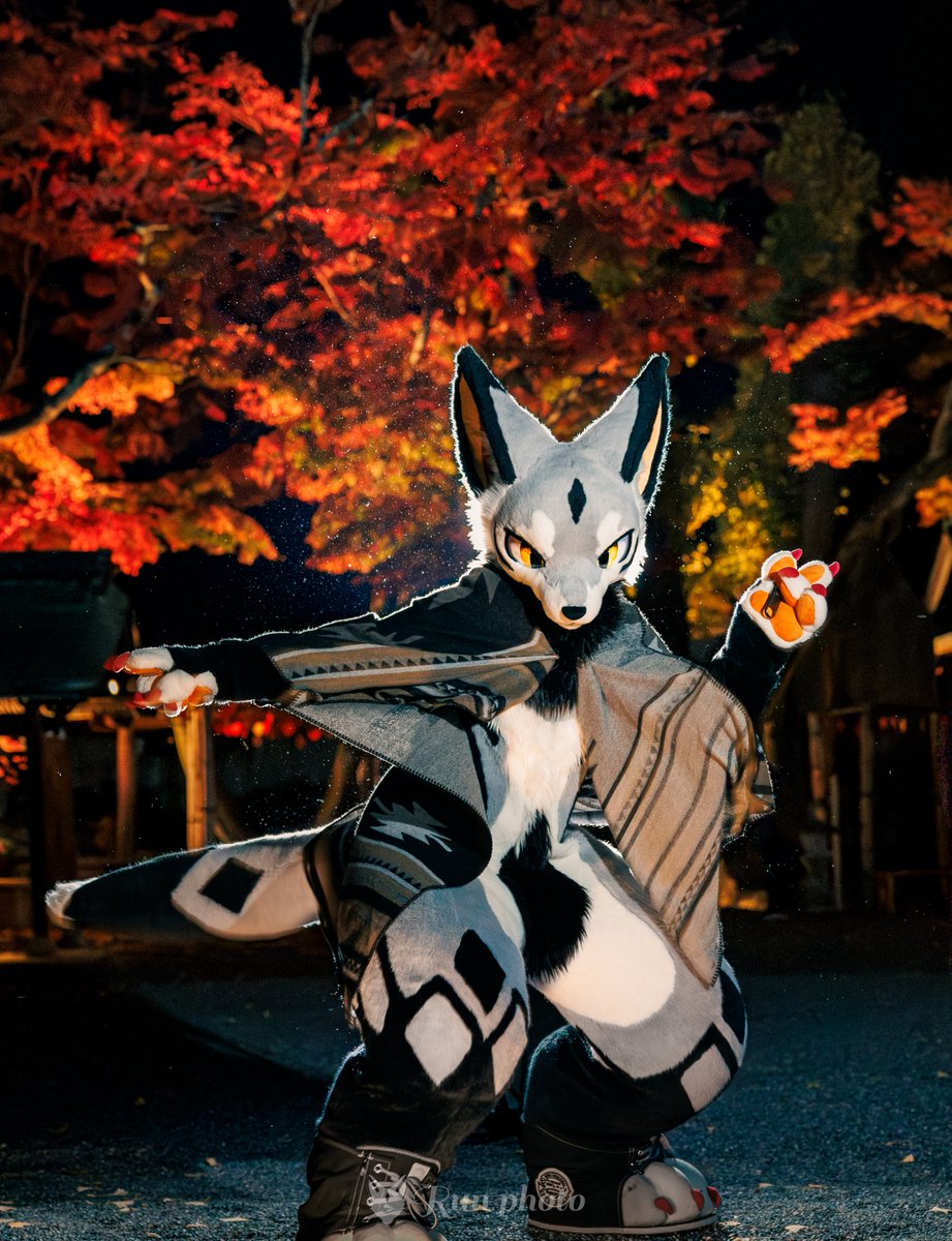 【るんるん】 るん🐇 (@run06033) • Instagram photos and videos