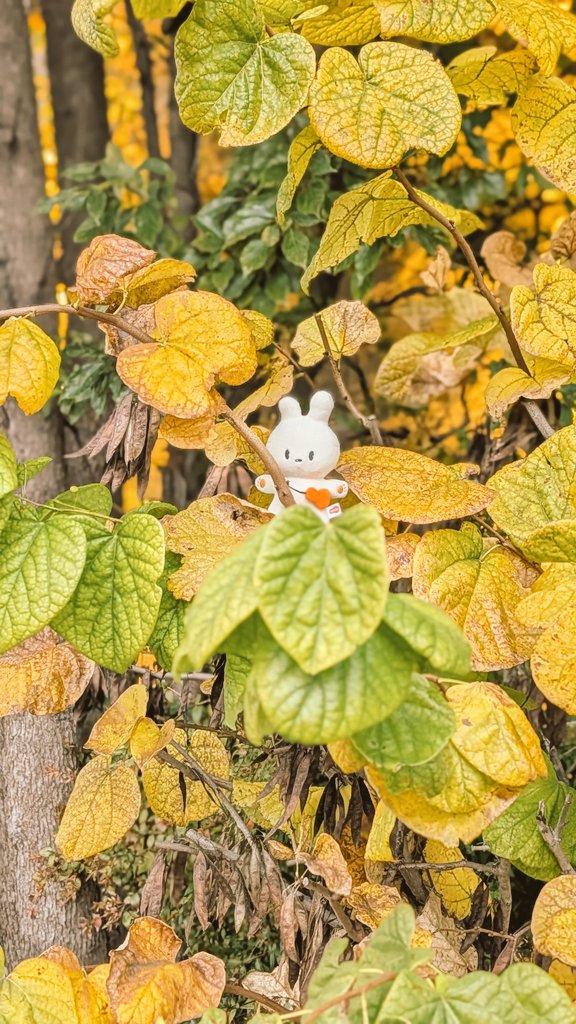 Wanijjsp's tweet image. 四季を感じるお出かけ日和だった！スプニちゃん自然と相性良い
 #spoony  #spoon