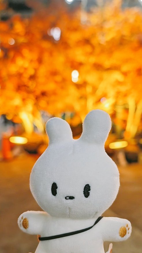 Wanijjsp's tweet image. 四季を感じるお出かけ日和だった！スプニちゃん自然と相性良い
 #spoony  #spoon