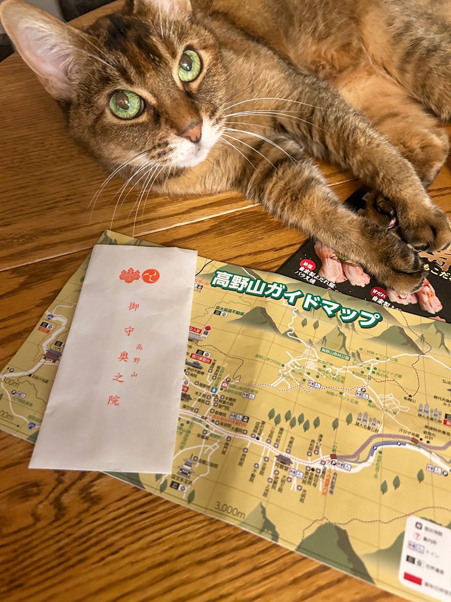 雪入レルナ ≒ ﾕｷｨﾚﾙﾅ ≒ 目立たない色符号 (@kitten_ketone) / Posts / X