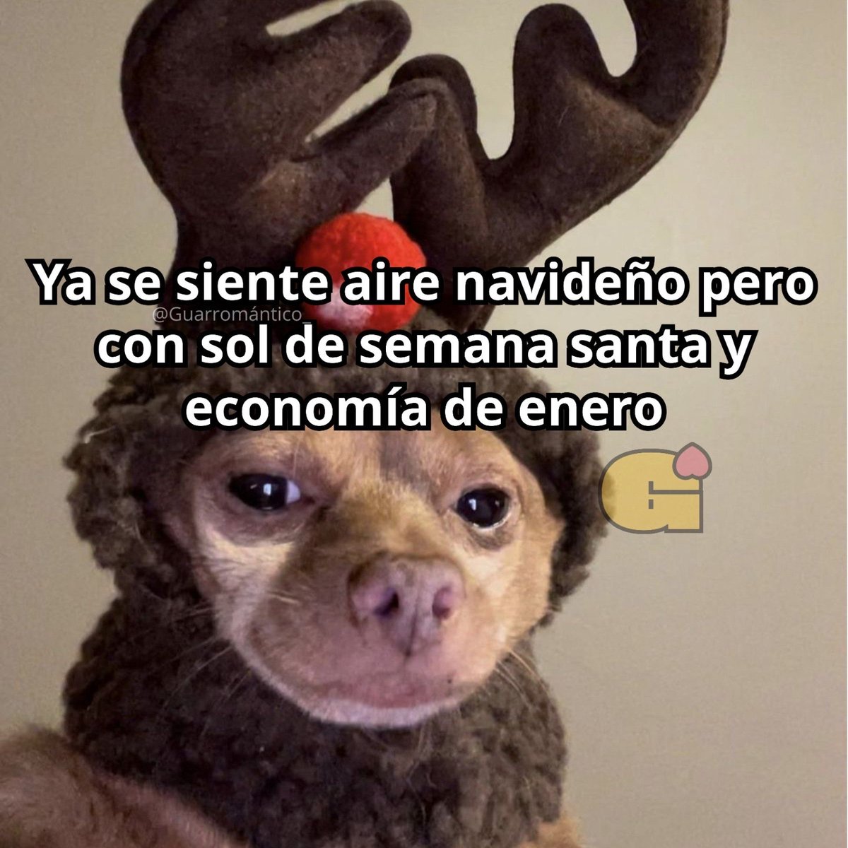 vanesajim3nz's tweet image. No puede ser 😩