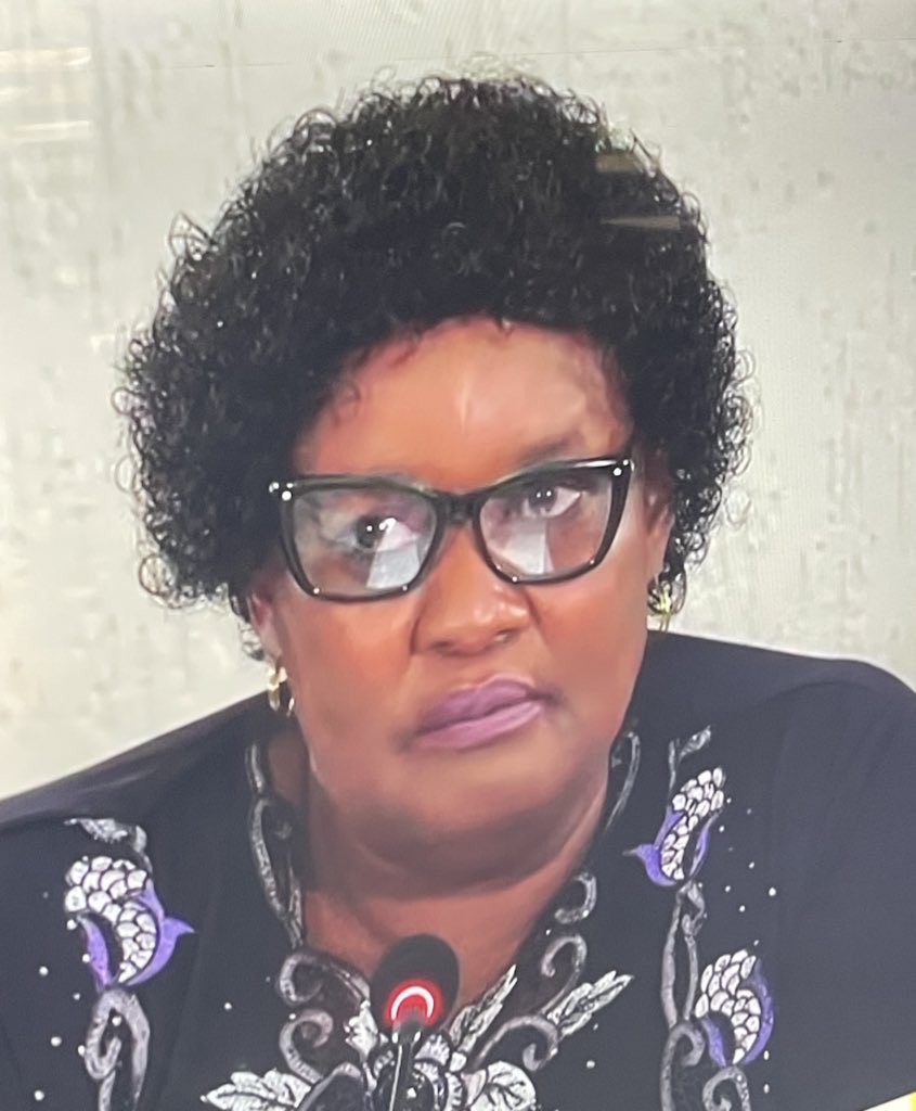 Am_Blujay's tweet image. What is magogo saying ? 

#adhoccommittee