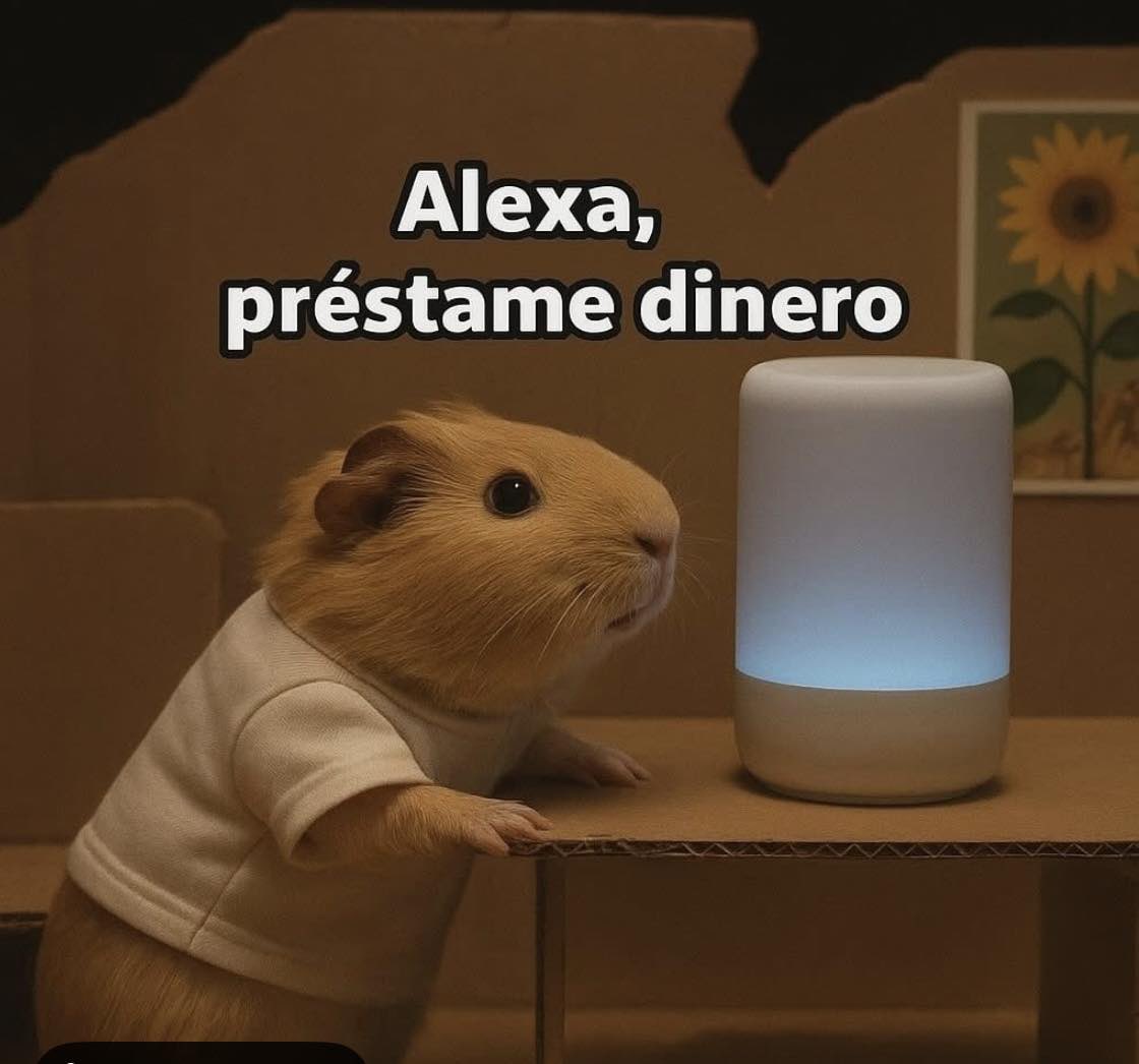 Carolin4Navarr0's tweet image. Si no es mucho pedir...