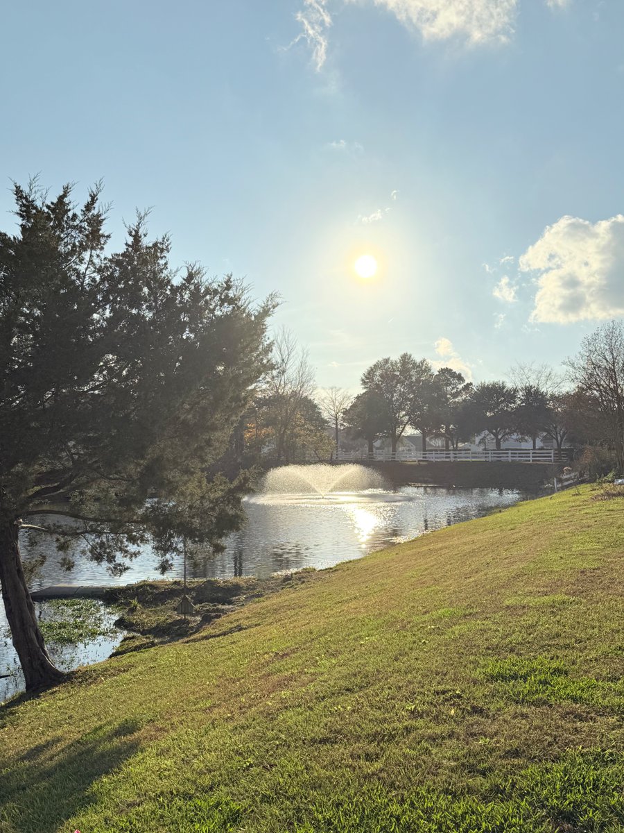 Wishing blessings
of well-being to
all people, 
all living creatures, 
and all the Earth. 

May one and all 
have enough and more 
of what is needed, 
that we may share 
with one another 
and be grateful.

Photo:
Virginia Beach.
26 November 2025, 3:31 PM.