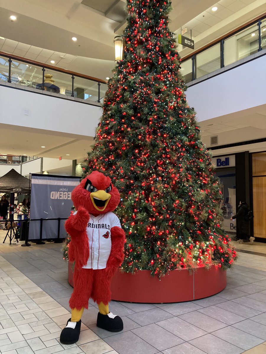 Bernie R. Bird tweet media