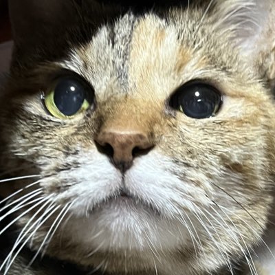 abynosuke's tweet image. #新しいプロフィール画像