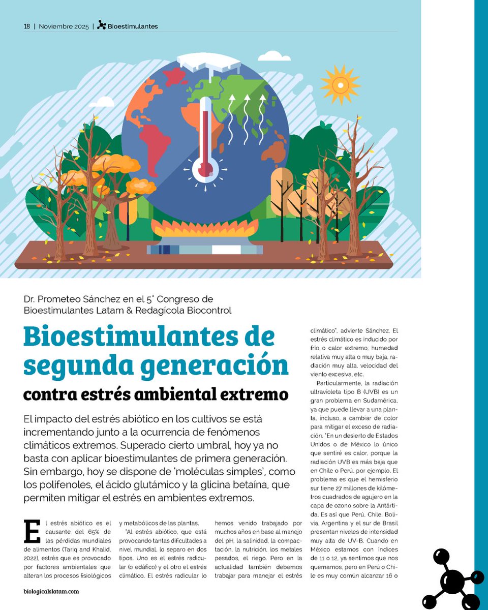 BiologicalsLat's tweet image. #ED12 | 🌱🌎 Bioestimulantes de segunda generación contra estrés ambiental extremo
⁠
El impacto del estrés abiótico en los cultivos se está incrementando junto a la ocurrencia de fenómenos climáticos extremos.
⁠
Lee el artículo completo:
biologicalslatam.com/revista/ed12#p…