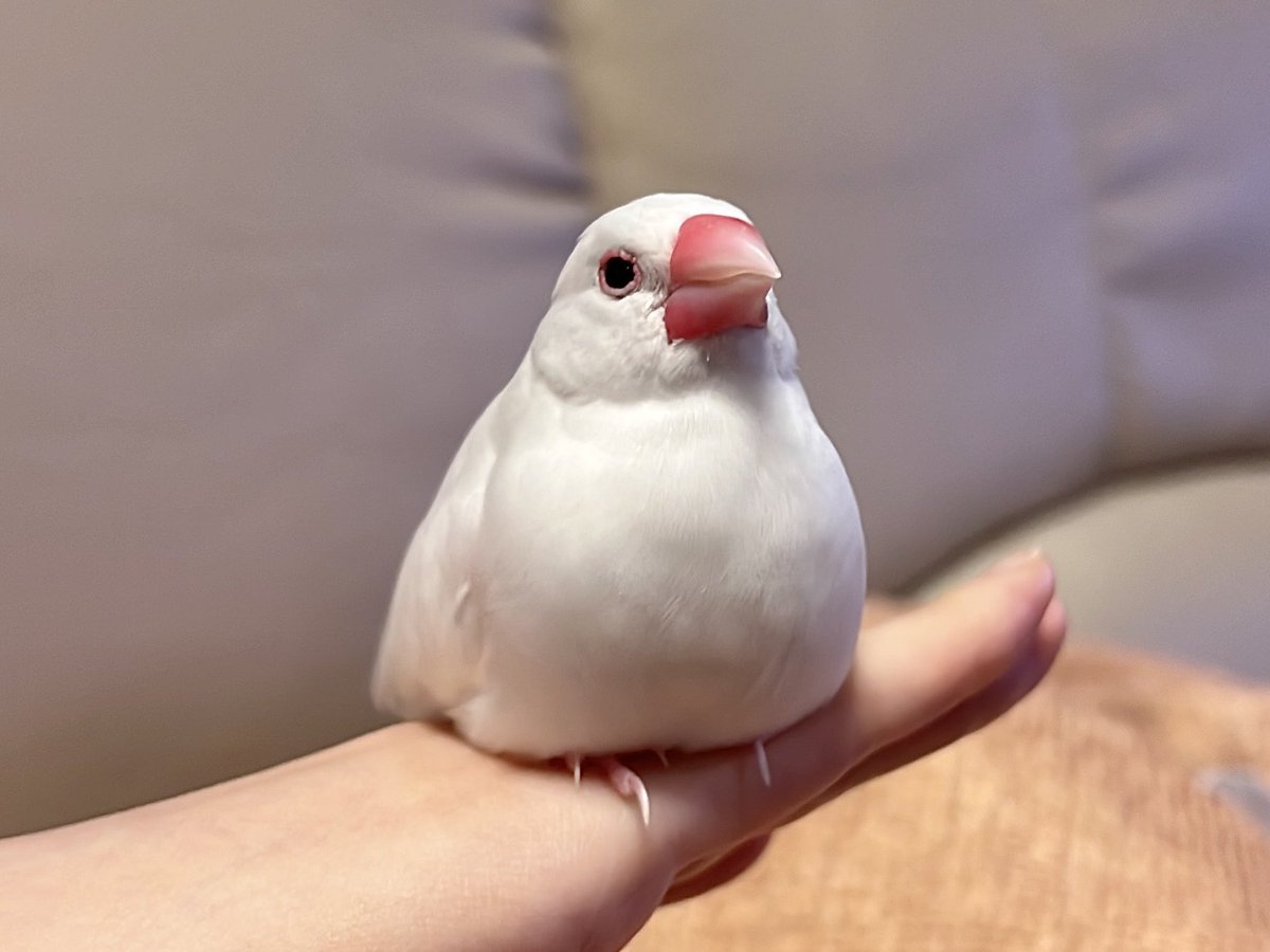 みるきー (@milkyma2) / Posts / X