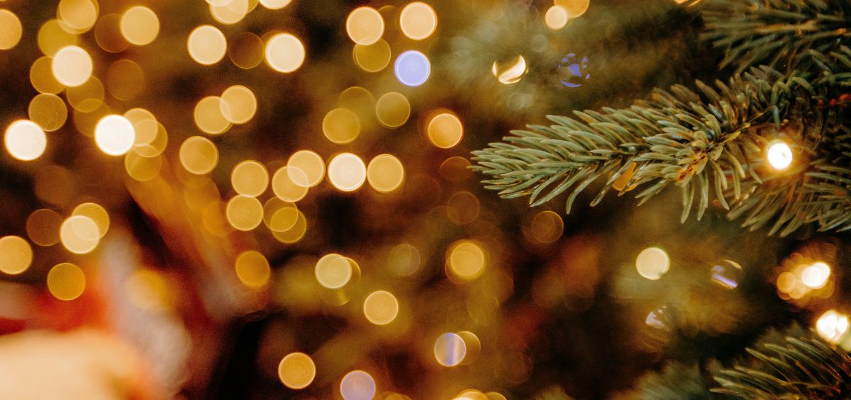 Diciembre en Benicàssim: un mes de planes, luz y espíritu navideño junto al mar.
benicassimparaiso.es/diciembre-en-b…