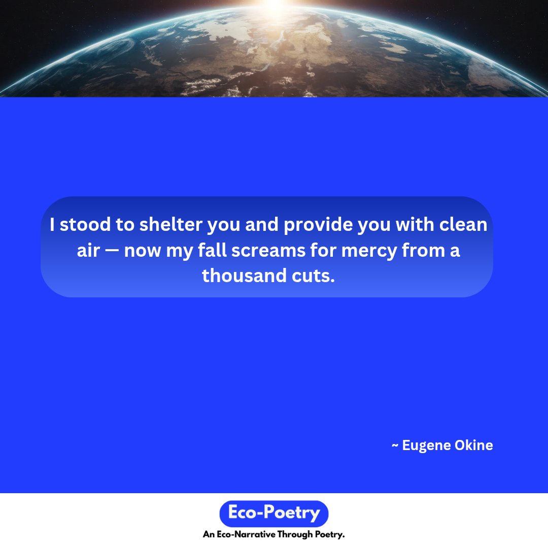 eco_poems's tweet image. Each cut steals a breath from us. When my last leaf falls🍃, so does your last chance.
#Mercy #tree #ClimateCrisis #ecopoetry
#poetrycommunity