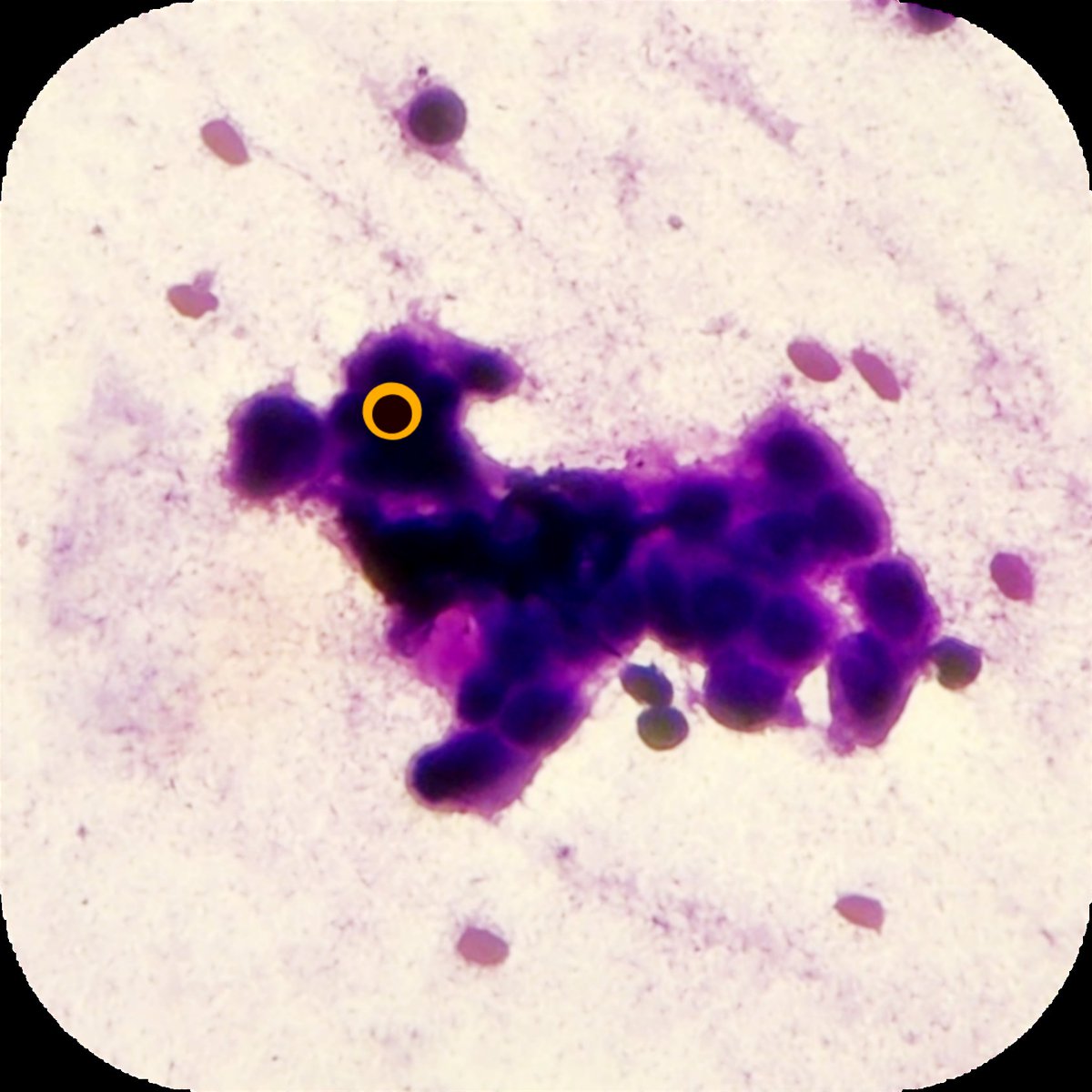 #pathoart
#pathX
#pathTwitter
A dog 🐕 !!
Art in Pathology. 
( eye added  )
