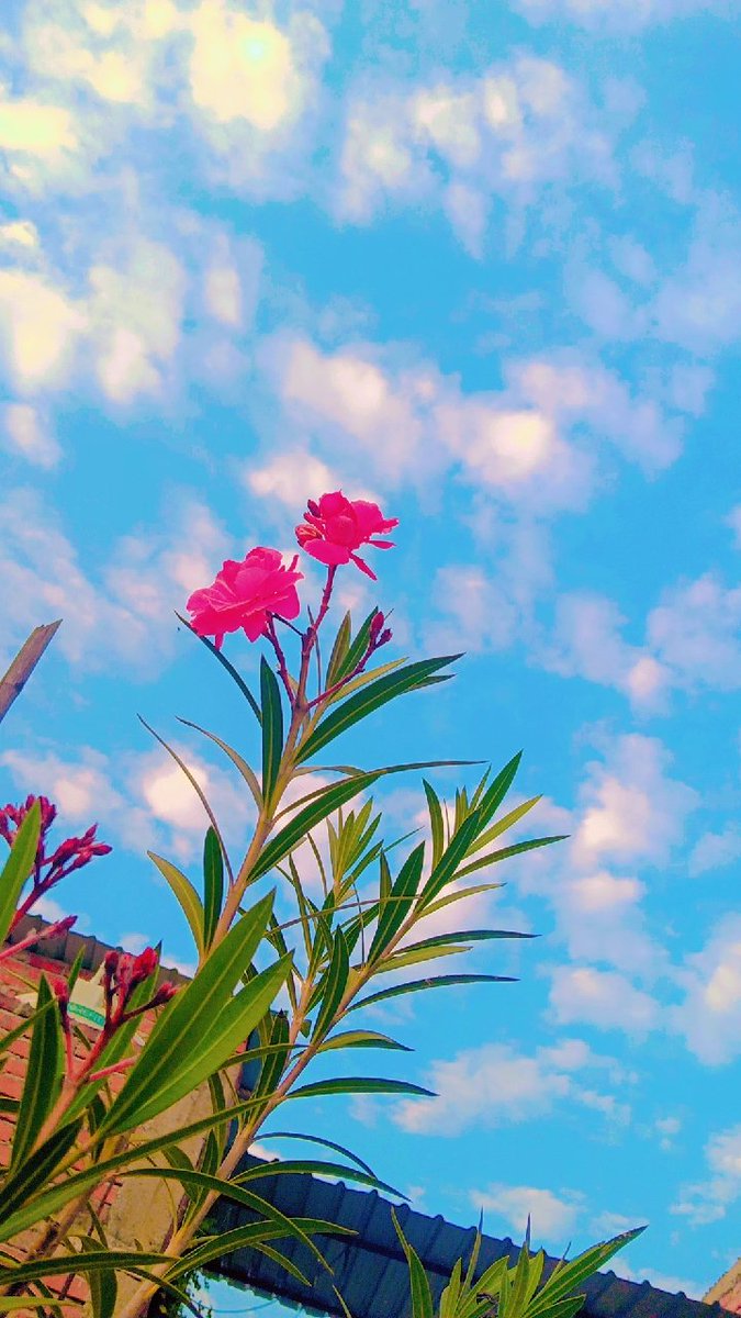 सुंदर वातावरण...❤️😍