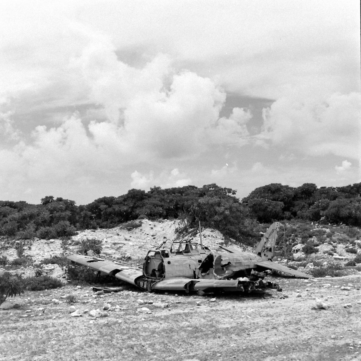 zero2152c's tweet image. ウェーク島の零戦二二型は以前に白黒写真を元にユーザースキンで再現したのですが、敵味方識別帯や白縁など思ったより的を得ていたみたいですね。
live.warthunder.com/post/1104505/e…