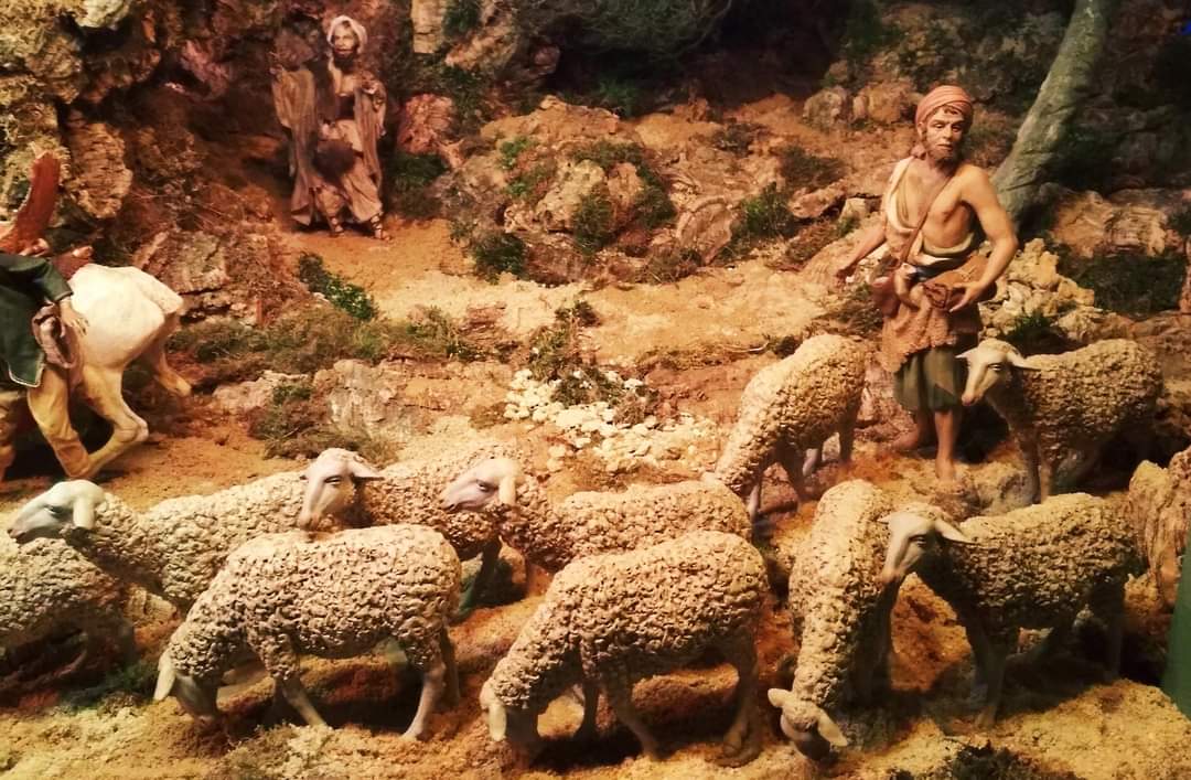 El Ayuntamiento de Palencia convoca el XLVI #Concurso Navideño de #Belenes 'Antonio Lafuente' con dos novedades: un nuevo premio al #belén más original y una nueva categoría, la de escaparates de comercios y empresas. ℹ👇
aytopalencia.es/noticia/el-ayu…