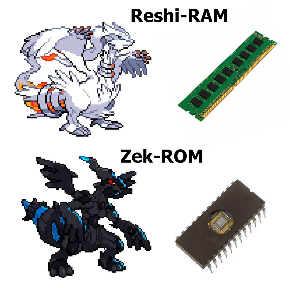 Sinnoh🌙 (@sinnoh_ceo) on Twitter photo 