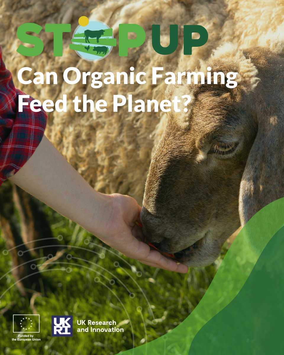 Horizon_StepUp tweet media