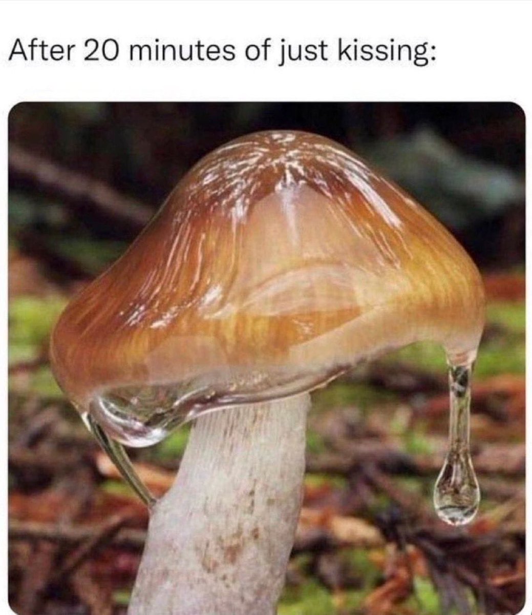 sadiyalove_'s tweet image. 