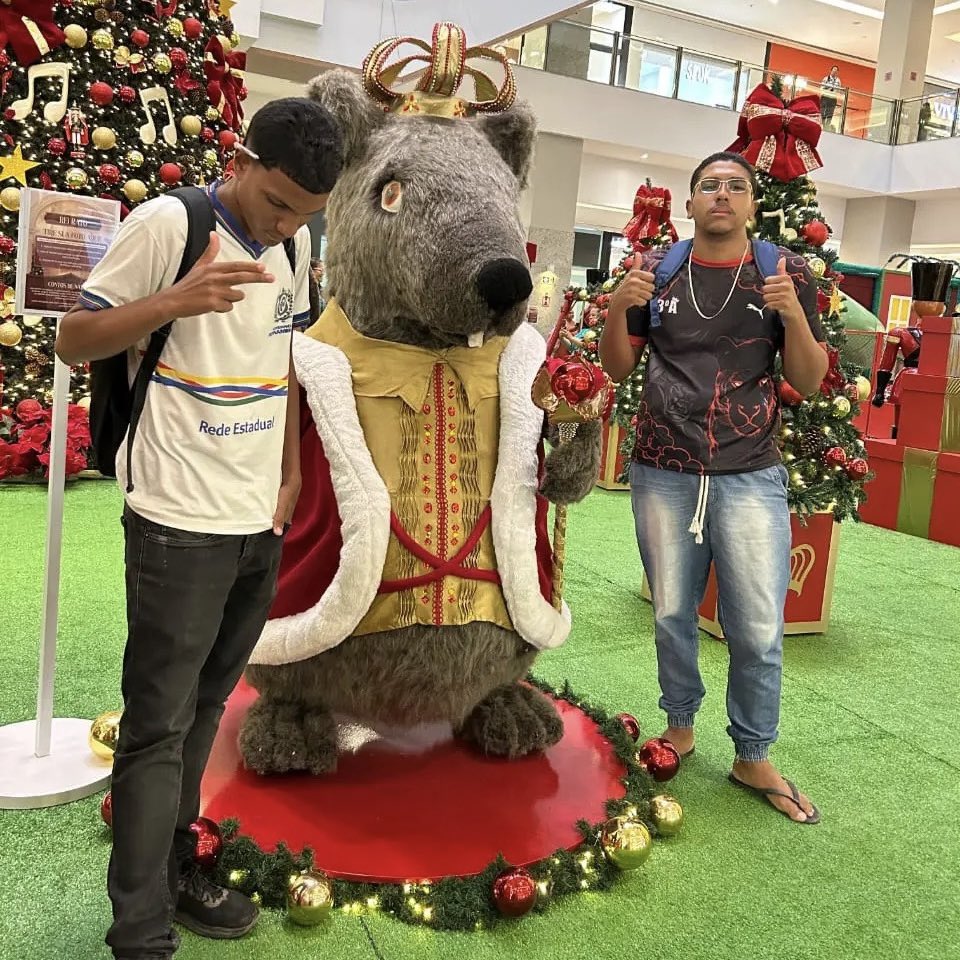 BregaBregoso's tweet image. Achei massa que o Shopping Patteo colocou foi um ratão na decoração de Natal… 😂🐀