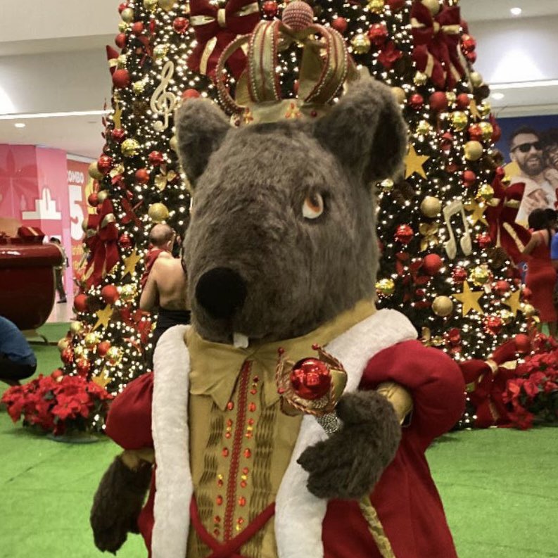 BregaBregoso's tweet image. Achei massa que o Shopping Patteo colocou foi um ratão na decoração de Natal… 😂🐀