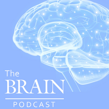 Brain1878's tweet photo. Listen to the latest episode of the Brain Podcast: https://t.co/O8arQoXA4f

This episode features a discussion with first author Dr Philipp J Koch of the Brain article entitled: Neurotransmitter-informed connectivity maps and their application for outcome inference after stroke https://t.co/7yxax2pPBa