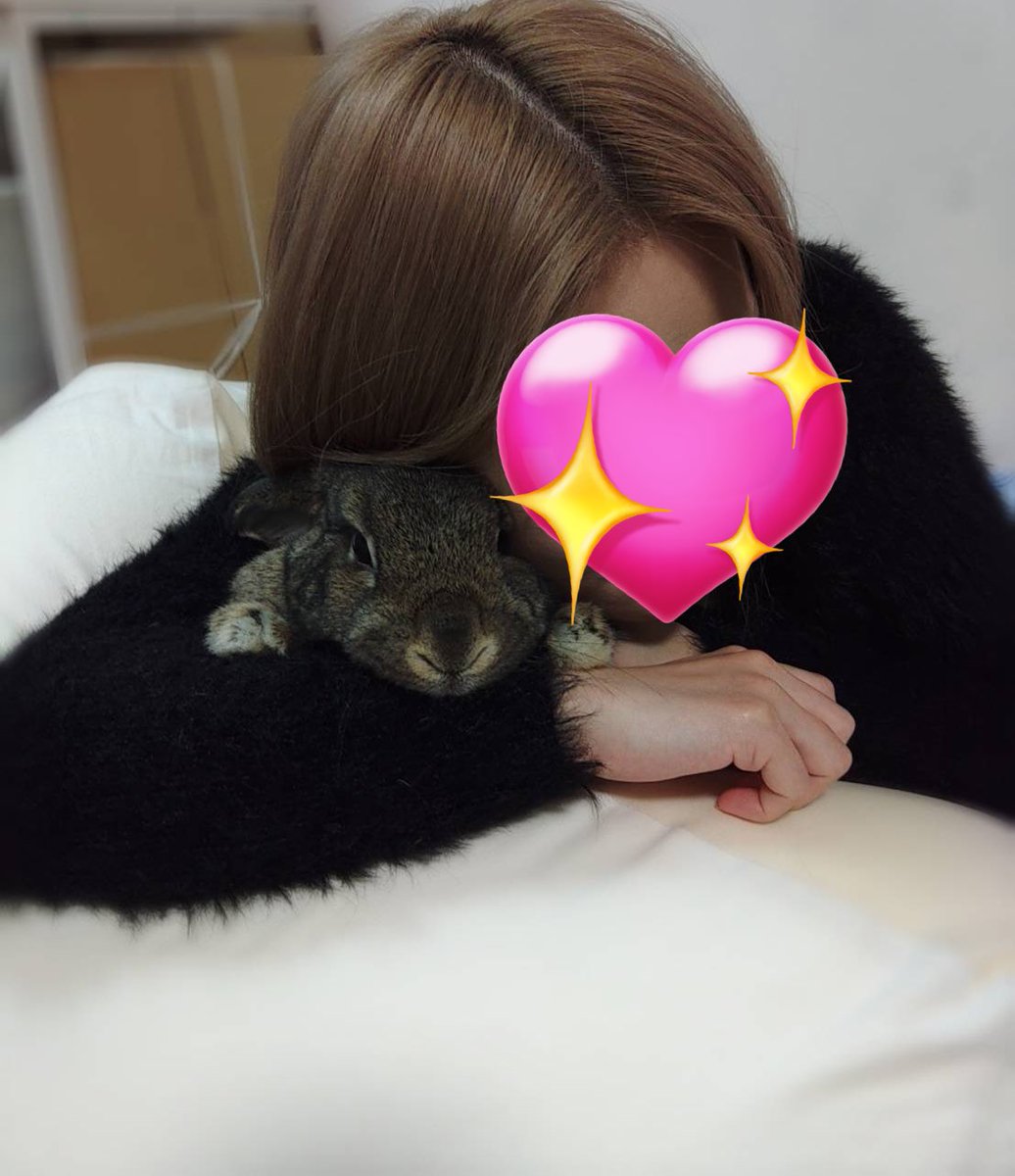 机の上のもの強奪したから捕まえた
たまにの抱っこは悪くないみたいです🐰