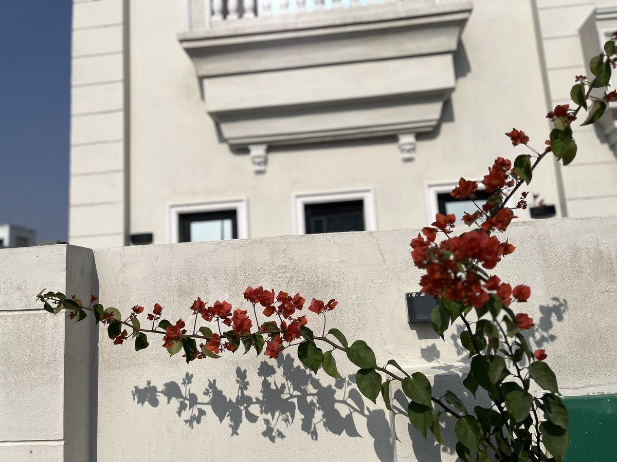 Mz_gujjar's tweet image. Soft and print copies available :p