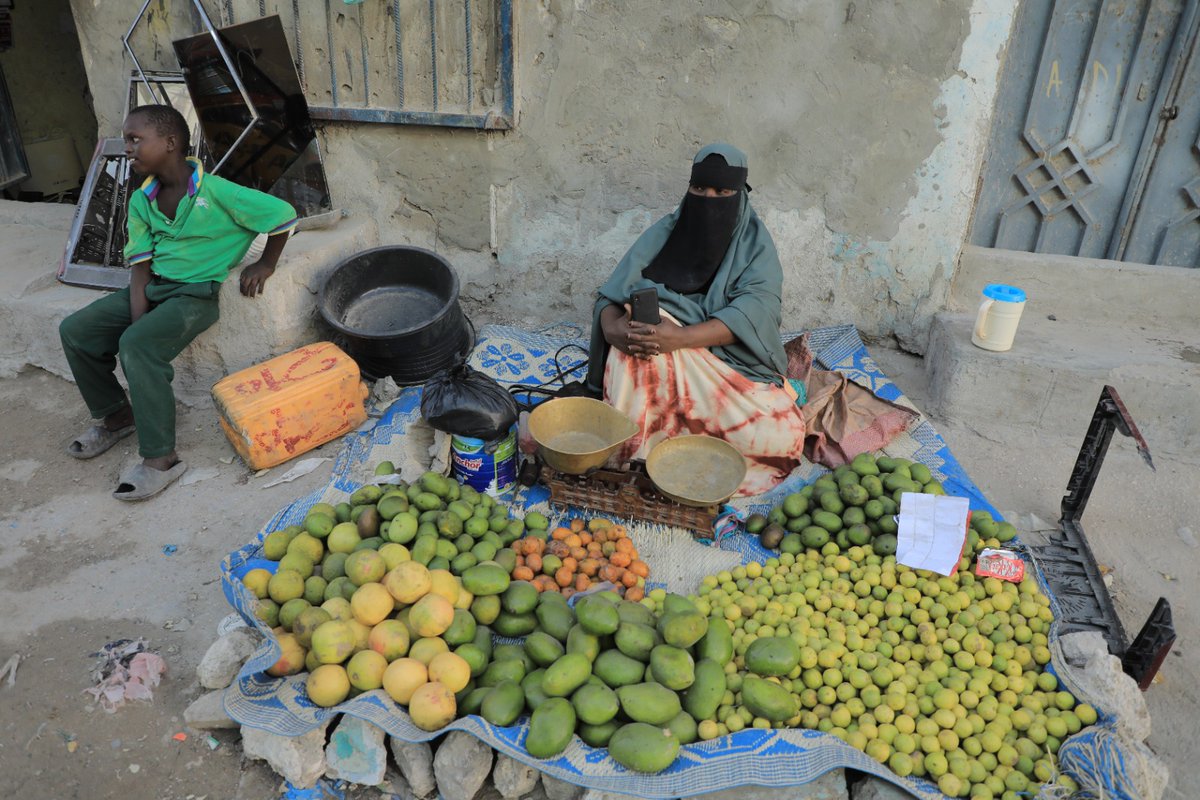 È online la nuova newsletter di I.N.FORMA.L. il progetto condotto in Somalia in favore di un'economia formale e dei diritti sul lavoro. In questo numero: seminario finale, formazione nei settori economici chiave, il manuale per attuare le convenzioni ILO.
nexusemiliaromagna.org/bollettino-n-6…