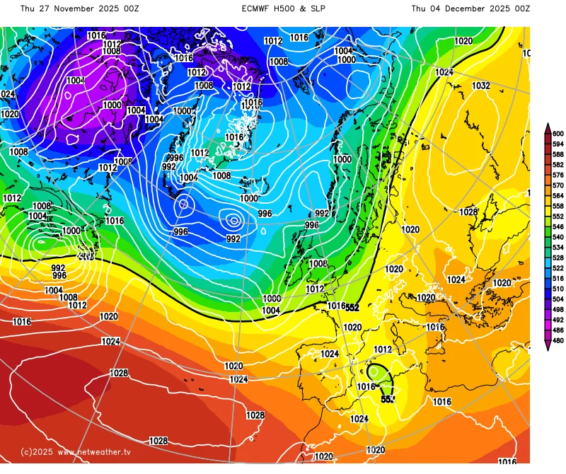 James Peacock tweet media